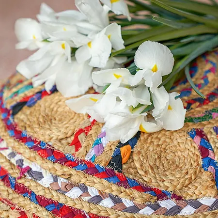 Casa Do Xico - Minho's Guest Tatil Evi