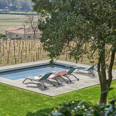 Casa Do Xico - Minho's Guest Guardizela