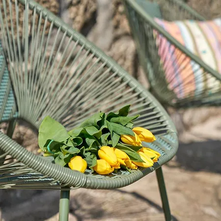 Tatil Evi Casa Do Xico - Minho's Guest Guardizela