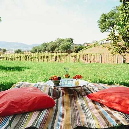 Casa Do Xico - Minho's Guest Tatil Evi *