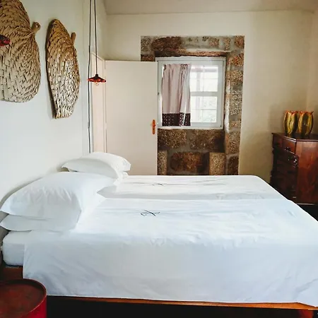 Casa Do Xico - Minho's Guest Tatil Evi