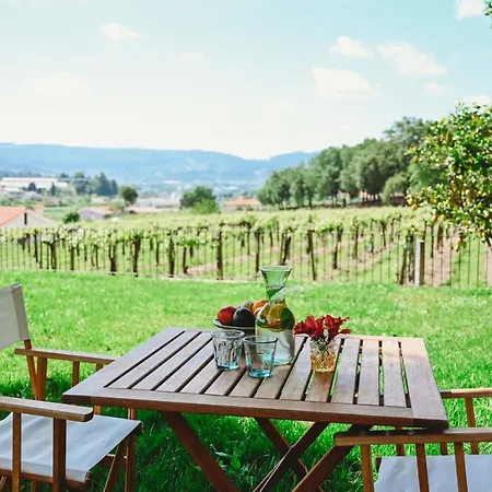 Casa Do Xico - Minho's Guest * Guardizela