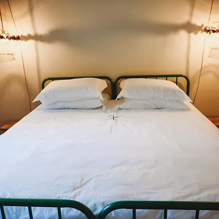 Tatil Evi Casa Do Xico - Minho's Guest *