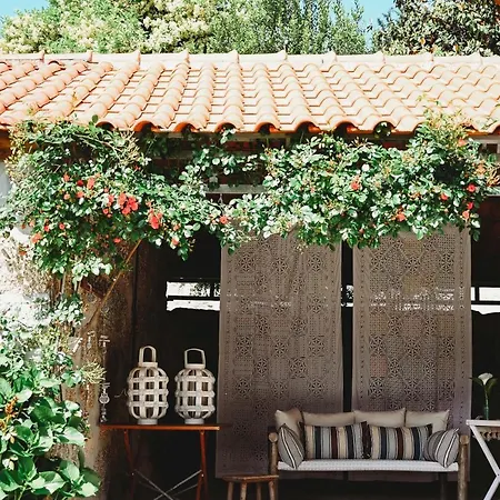 Tatil Evi Casa Do Xico - Minho's Guest Guardizela