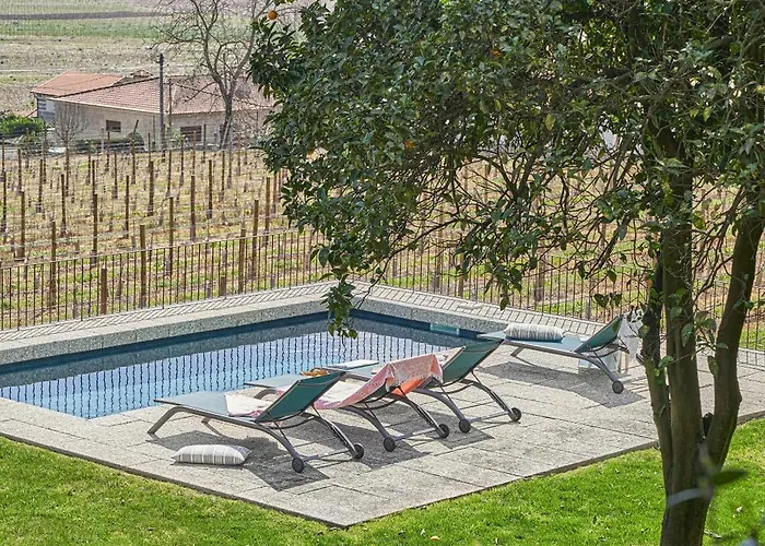 Casa Do Xico - Minho's Guest Guardizela