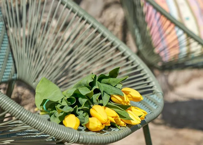 Casa de Férias Casa Do Xico - Minho's Guest Guardizela